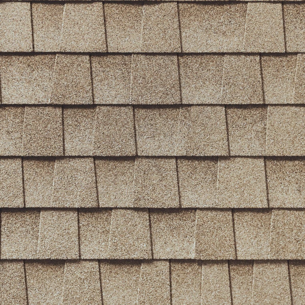 Good Vibes Roofing and Siding Inc. Images